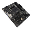 BIOSTAR A520MT Emaplaat