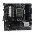 BIOSTAR A620MP-E PRO Emaplaat