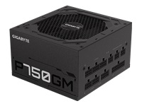 GIGABYTE GP-P750GM 750W ATX 12V v2.31 80 PLUS Gold certified Power Supply