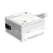 Gigabyte P550SS ICE - Power supply (internal) - ATX12V 3.0/ EPS12V - 80 PLUS Silver - AC 155-240 V - 550 Watt - active PFC - ice white 